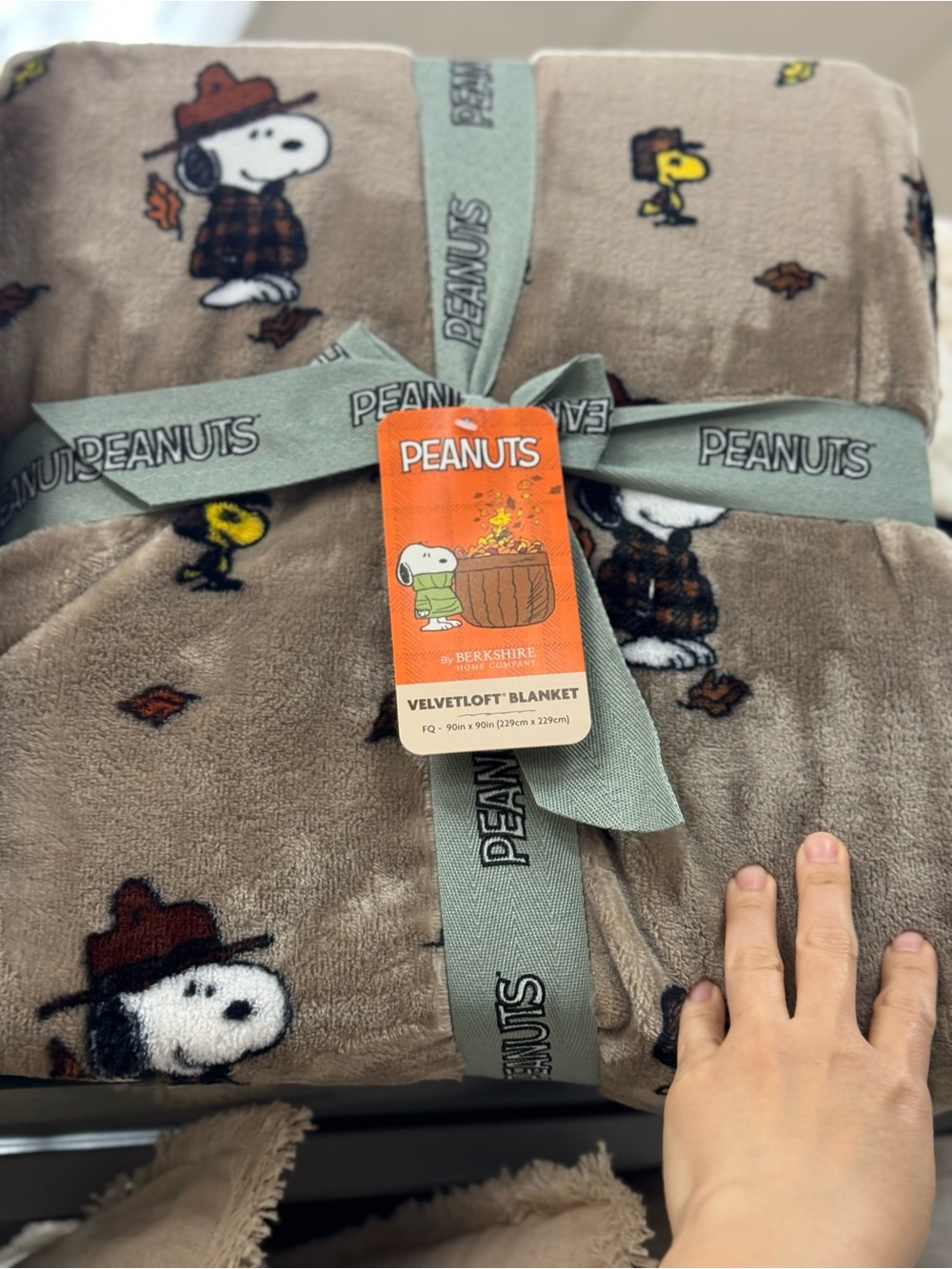 Peanuts Brown Snoopy & Woodstock Velvetloft Throw Blanket